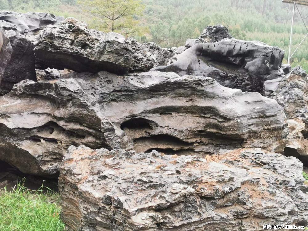 风景石、假山石大量有货，有需要的欢迎联系 - 新手上路 - 海西生活社区 - 海西28生活网 hx.28life.com