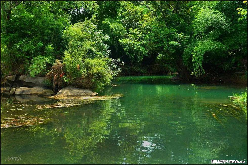 【春天，广西桂林灌阳县向您发出邀请！】如梦似幻莲溪庐 - 游山玩水 - 海西生活社区 - 海西28生活网 hx.28life.com