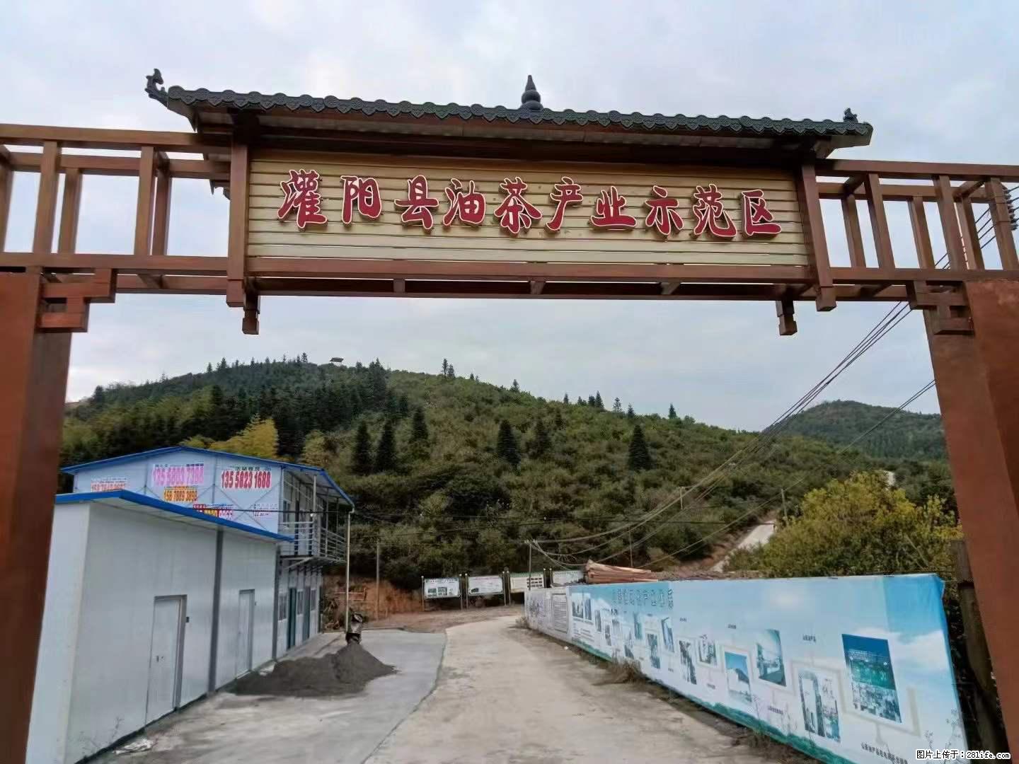 【灌阳县油茶产业示范区】一个有着充实的精神生活的人，对待身外之物自会有一种淡泊的态度 - 美食天地 - 海西生活社区 - 海西28生活网 hx.28life.com