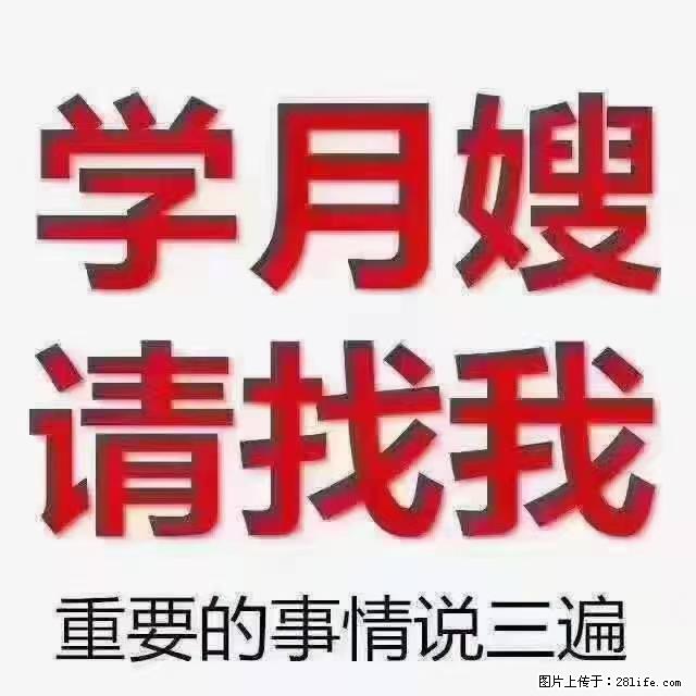 【招聘】月嫂，上海徐汇区 - 职场交流 - 海西生活社区 - 海西28生活网 hx.28life.com