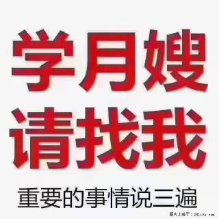 【招聘】月嫂，上海徐汇区 - 海西28生活网 hx.28life.com