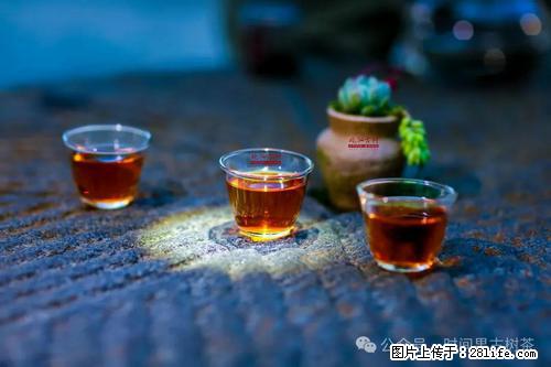 时间果百年古树2025年春红茶 - 购物交流 - 海西生活社区 - 海西28生活网 hx.28life.com