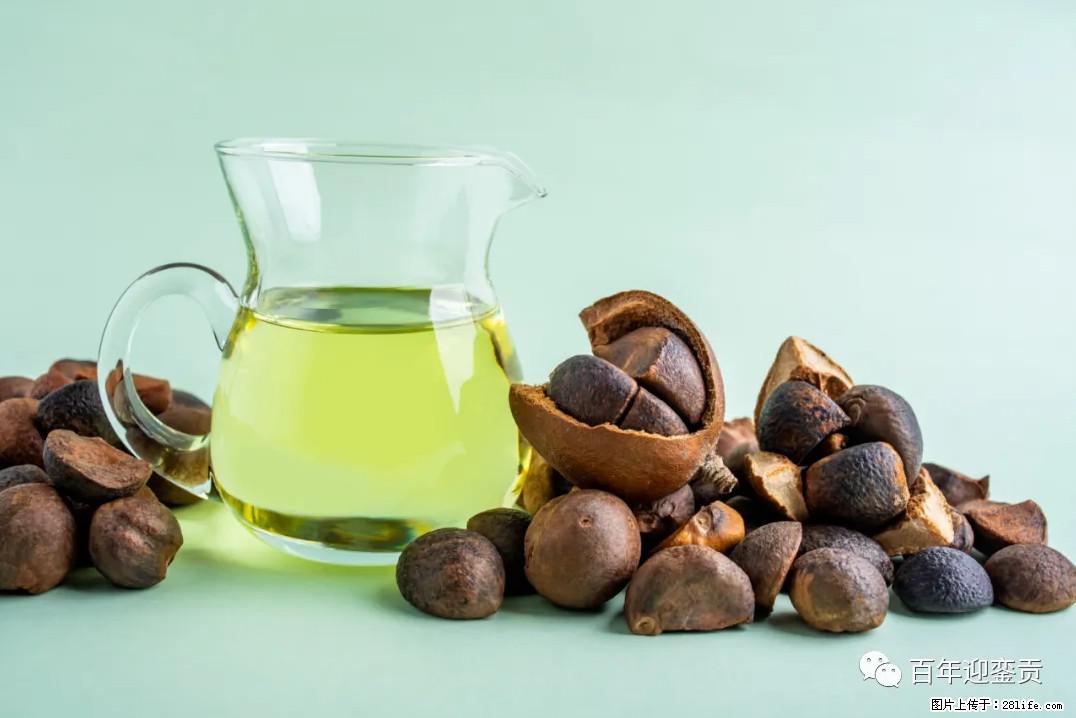 世界没有真相，只有认知，最好的食用油是中国的山茶油！ - 海西生活资讯 - 海西28生活网 hx.28life.com