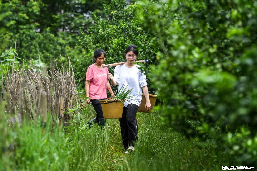 全网追的“扁担女孩”，找了一份暑假工，时薪12元 - 海西生活资讯 - 海西28生活网 hx.28life.com