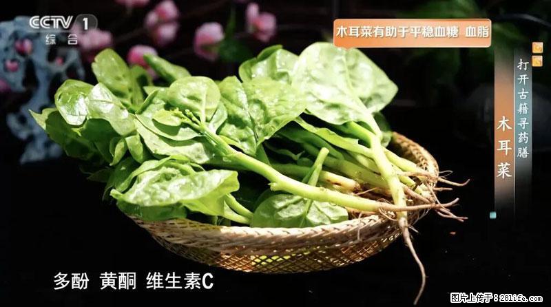 比牛奶补钙还厉害！凉血解毒、稳血糖...这菜冬天必吃，很多人却当草 - 海西生活资讯 - 海西28生活网 hx.28life.com