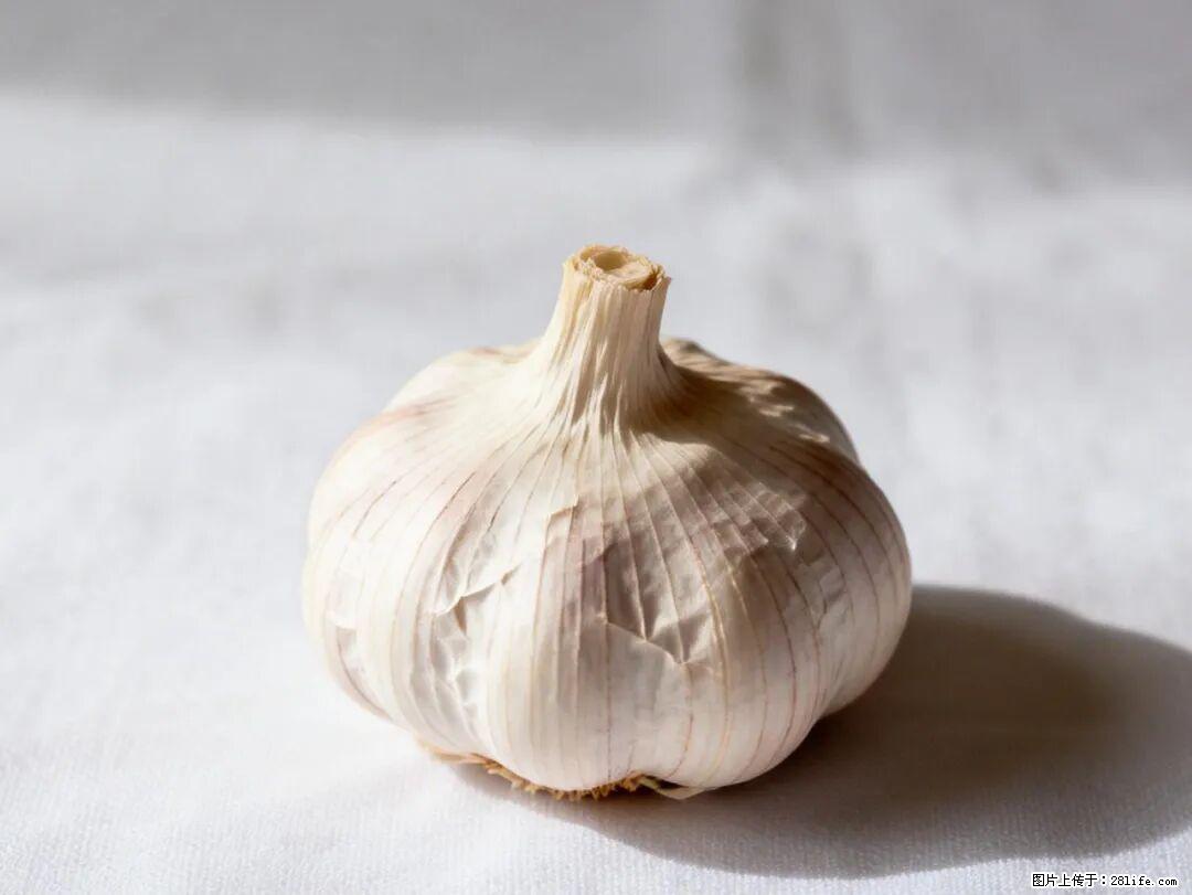 关于大蒜，除了“天然抗生素”，这4个谣言更该警惕! - 海西生活资讯 - 海西28生活网 hx.28life.com