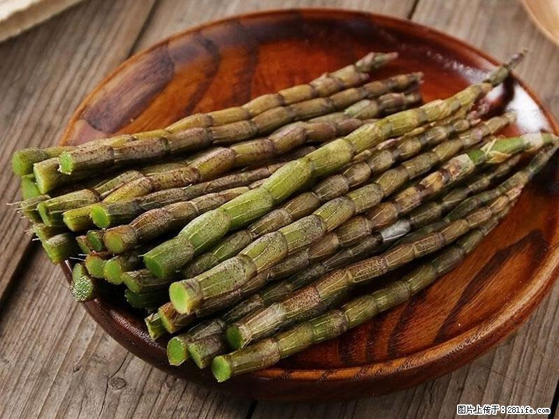 铁皮石斛的作用与功能主治 - 海西生活资讯 - 海西28生活网 hx.28life.com